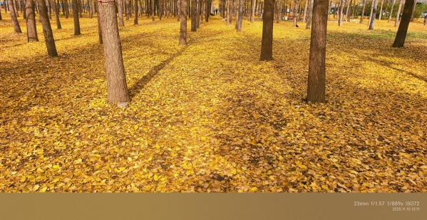 离退休摄影协会作品展示——史剑